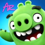 Angry Birds(愤怒的小鸟ar)v1.1.2.57453 安卓版