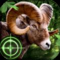 荒野猎手Wild Hunter V1.0.10