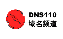 域名频道DNS110