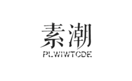 素潮PLWIWTCDE