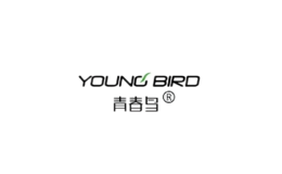 青春鸟youngbird