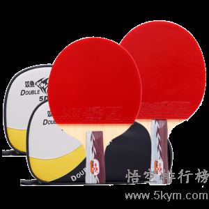 乒乓球拍哪个品牌最好？乒乓球拍品牌排行榜前十
